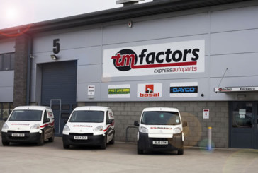 Factor Focus: TM Factors