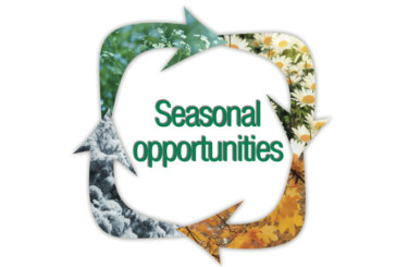 Seasonal Opportunities