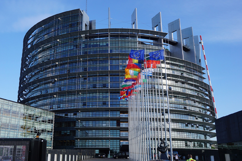 European Parliament Adopts Dalton Report - Professional Motor Factor