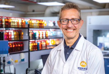 How lubricants can help reduce global emissions