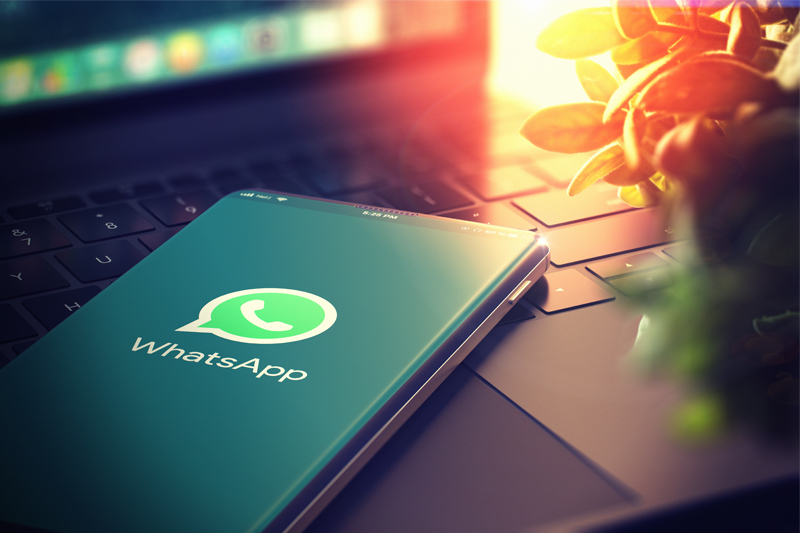 How to utilise WhatsApp Business