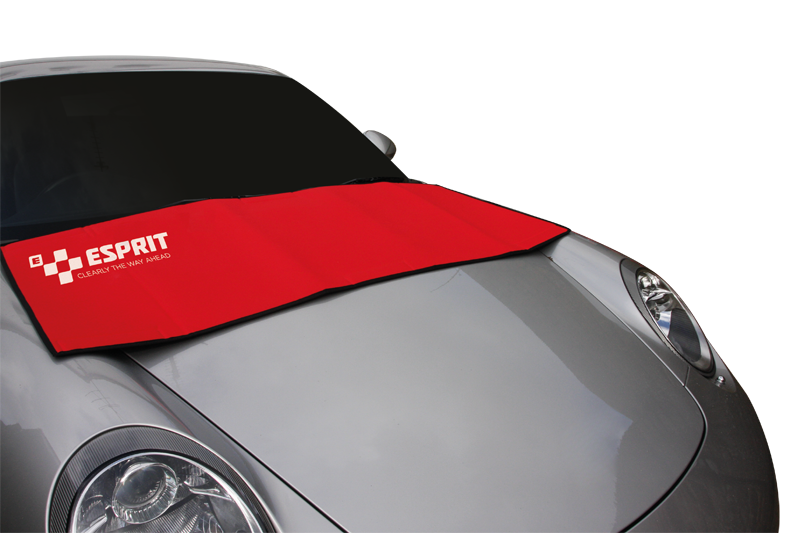 Esprit’s windscreen repair kit