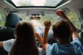 How to reduce allergies while driving