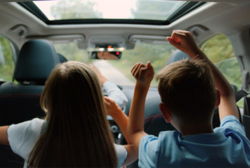 How to reduce allergies while driving