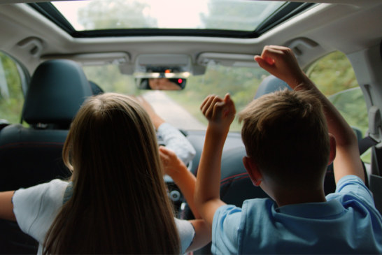 How to reduce allergies while driving