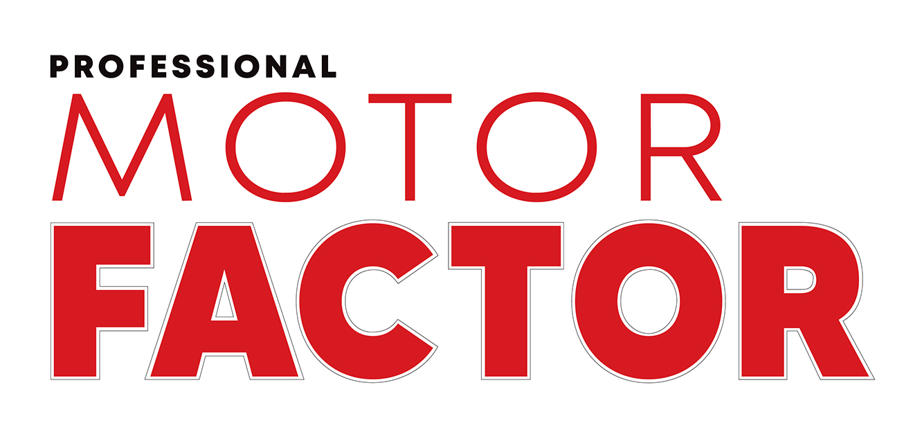 Professional Motor Factor